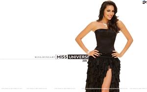 Miss Universe 2010